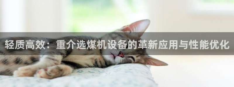 辉达娱乐彳75775