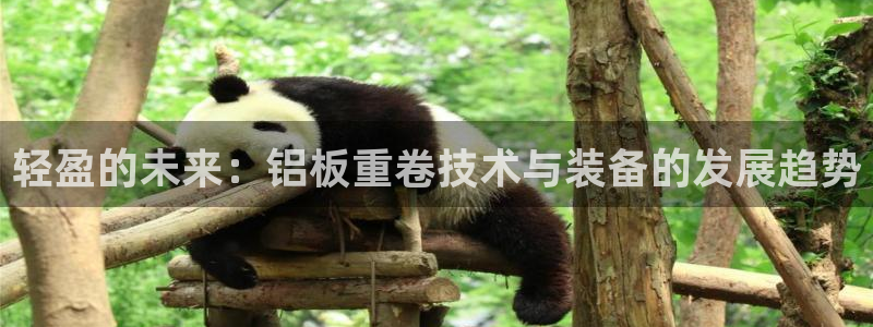 辉达娱乐丶39444