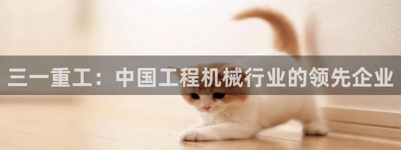 辉达娱乐最新消息新闻