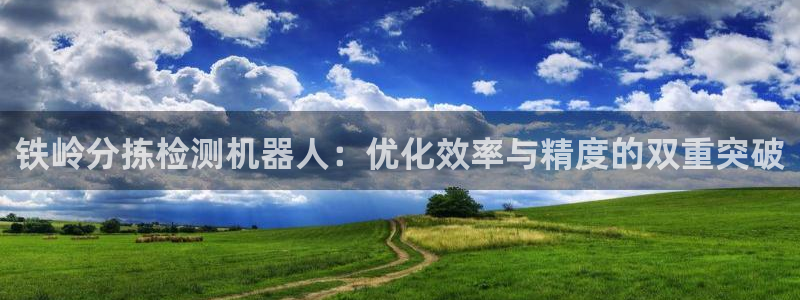 辉达娱乐电子游艺