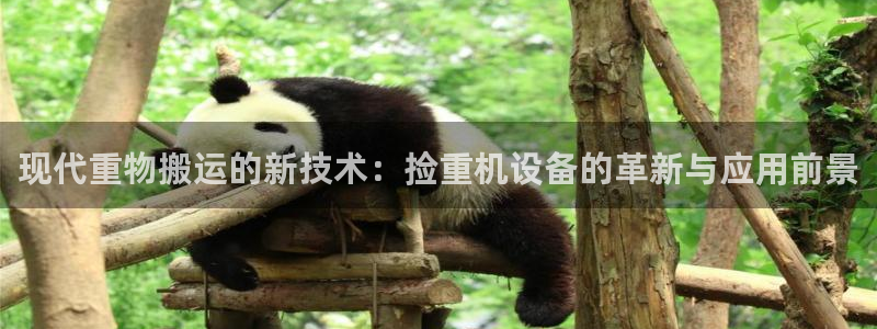 辉达娱乐广东11选5