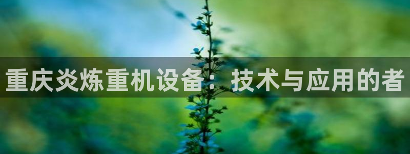 辉达平台官网登录：重庆炎炼重机设备：技术与应用的者