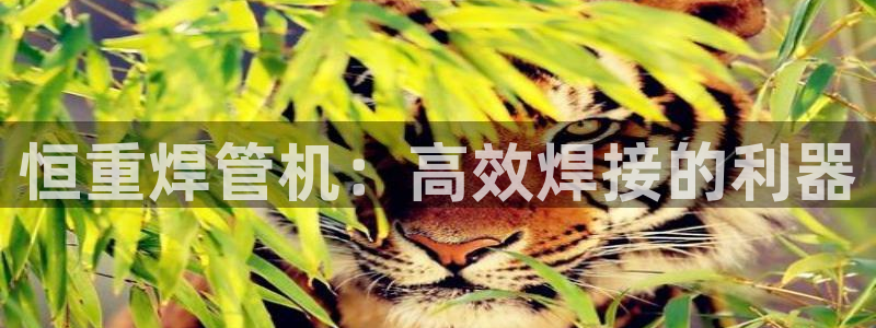 辉达平台官网登录：恒重焊管机：高效焊接的利器
