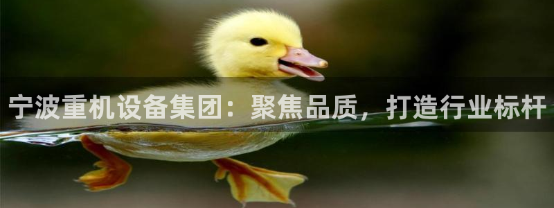 代理辉达娱乐开户注册：宁波重机设备集团：聚焦品质，打造行业标