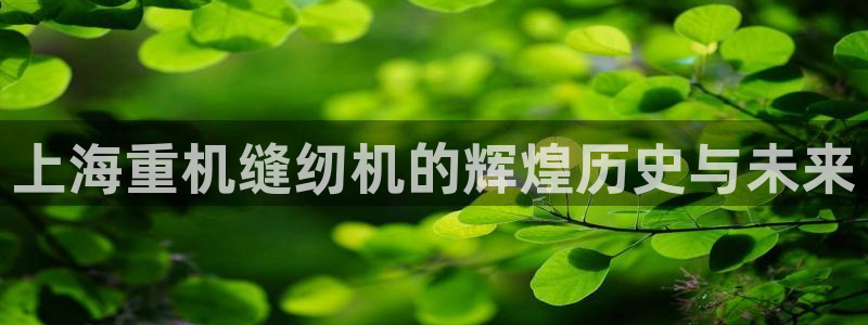 辉达娱乐己39444：上海重机缝纫机的辉煌历史与未来