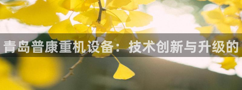 辉达娱乐己39444：青岛普康重机设备：技术创新与升级的