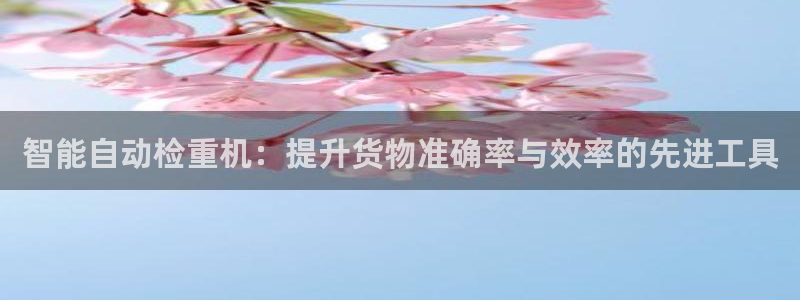 正规辉达娱乐在线游戏：智能自动检重机：提升货物准确率与效率的