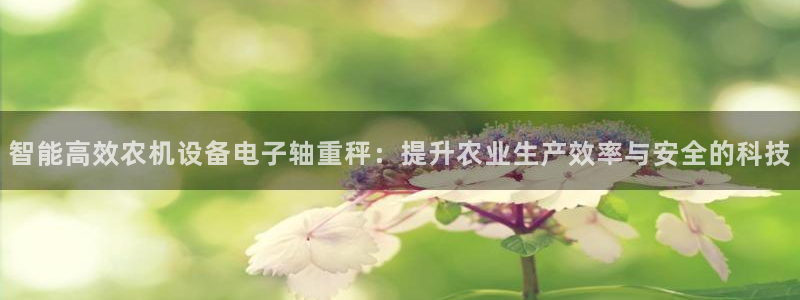 辉达娱乐网址：智能高效农机设备电子轴重秤：提升农业生产效率与