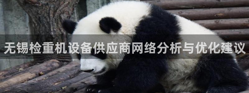 辉达平台官网登录：无锡检重机设备供应商网络分析与优化建议
