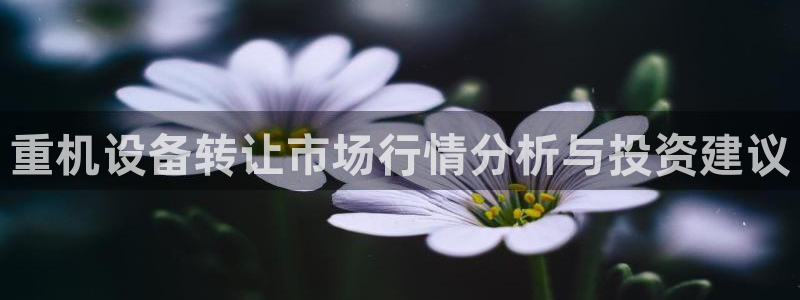辉达娱乐最新消息新闻：重机设备转让市场行情分析与投资建议