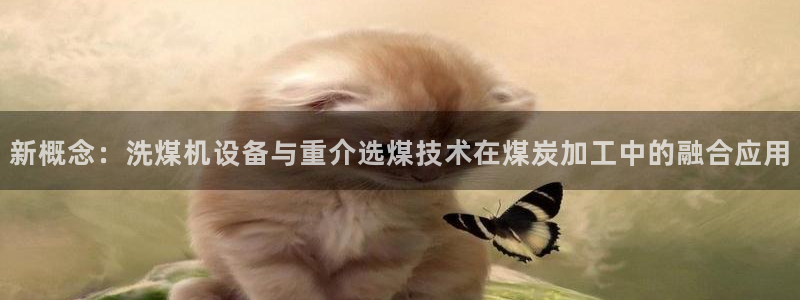 辉达娱乐新疆时时彩：新概念：洗煤机设备与重介选煤技术在煤炭加