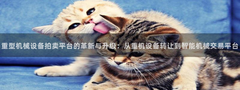 辉达娱乐待遇：重型机械设备拍卖平台的革新与升级：从重机设备转