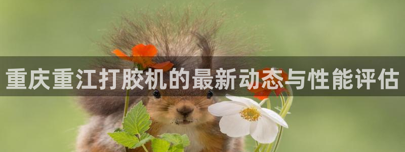 正规辉达娱乐官方网址：重庆重江打胶机的最新动态与性能评估