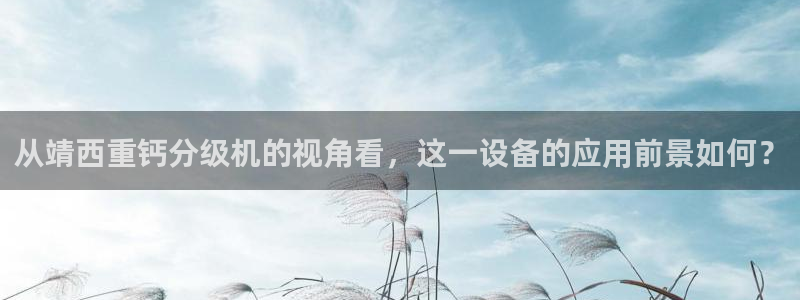 辉达平台注册：从靖西重钙分级机的视角看，这一设备的应用前景如