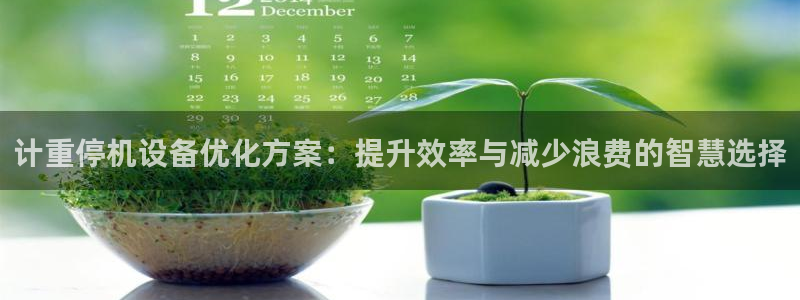 辉达平台注册：计重停机设备优化方案：提升效率与减少浪费的智慧