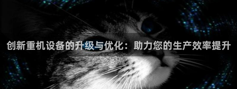 辉达娱乐最新版本更新内容：创新重机设备的升级与优化：助力您的