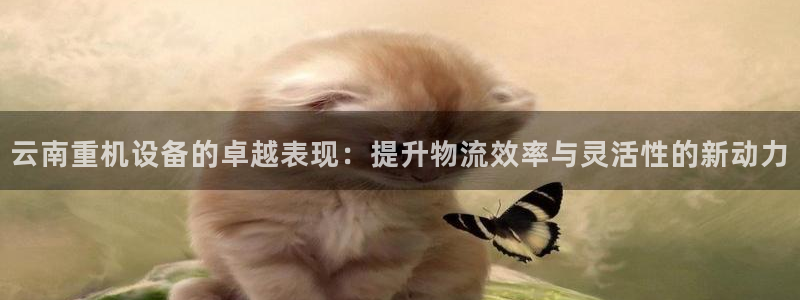 信誉辉达娱乐在线游戏
