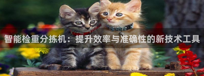 辉达娱乐平台
