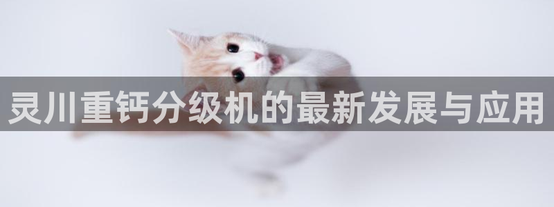辉达娱乐加q75775稳定