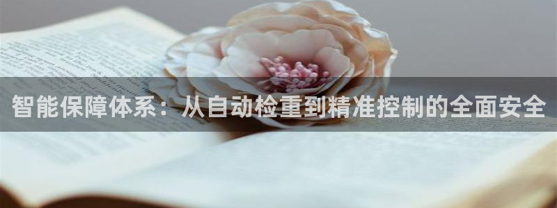 辉达娱乐官方网址：智能保障体系：从自动检重到精准控制的全面安