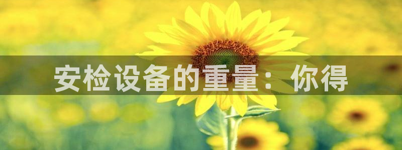 辉达娱乐电子游艺：安检设备的重量：你得
