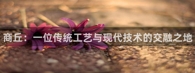 正规辉达娱乐在线游戏