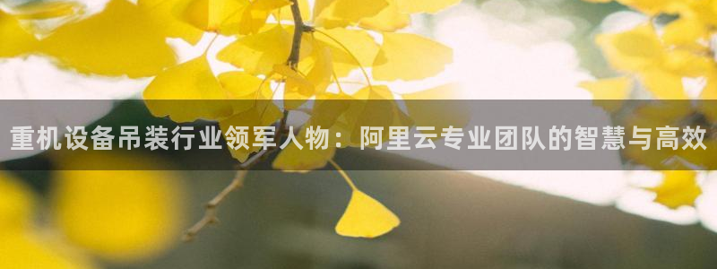辉达娱乐最新现状：重机设备吊装行业领军人物：阿里云专业团队的