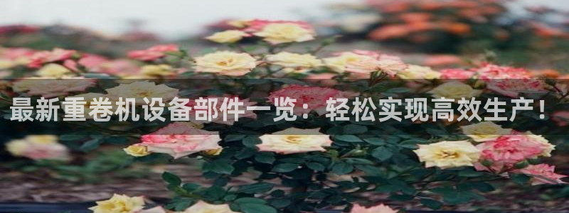 辉达官网登录入口入口：最新重卷机设备部件一览：轻松实现高效生
