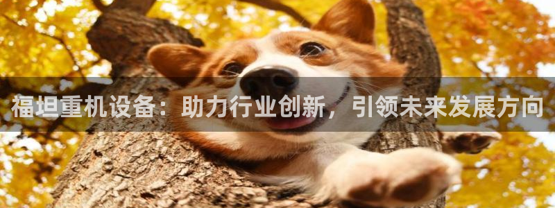 辉达平台注册流程