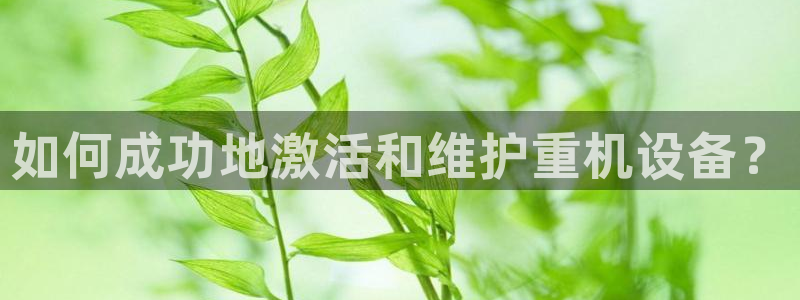 辉达娱乐可靠：如何成功地激活和维护重机设备？