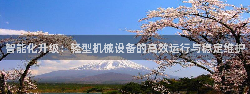 辉达娱乐衤39444：智能化升级：轻型机械设备的高效运行与稳