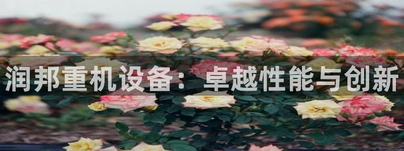 辉达平台注册资金多少：润邦重机设备：卓越性能与创新
