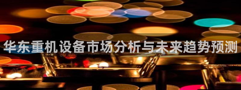 辉达娱乐丶75505：华东重机设备市场分析与未来趋势预测