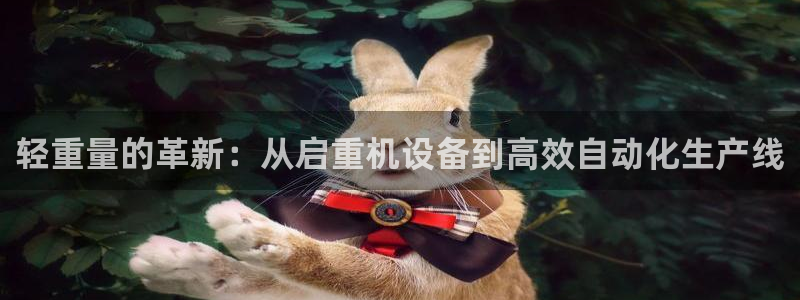 辉达娱乐衤39444：轻重量的革新：从启重机设备到高效自动化