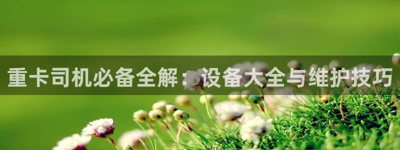 辉达娱乐最新消息新闻：重卡司机必备全解：设备大全与维护技巧