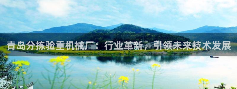 辉达娱乐兼职：青岛分拣验重机械厂：行业革新，引领未来技术发展