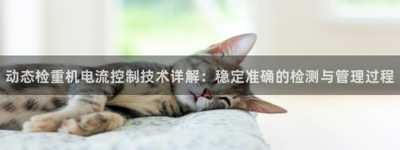辉达平台注册官方网站入口：动态检重机电流控制技术详解：稳定准