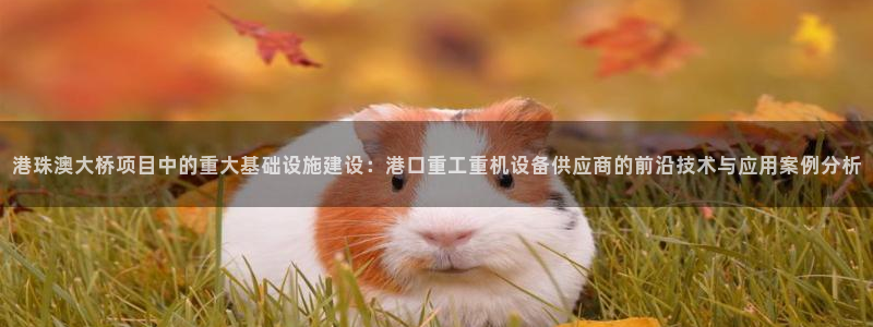 正规辉达娱乐官方网址：港珠澳大桥项目中的重大基础设施建设：港