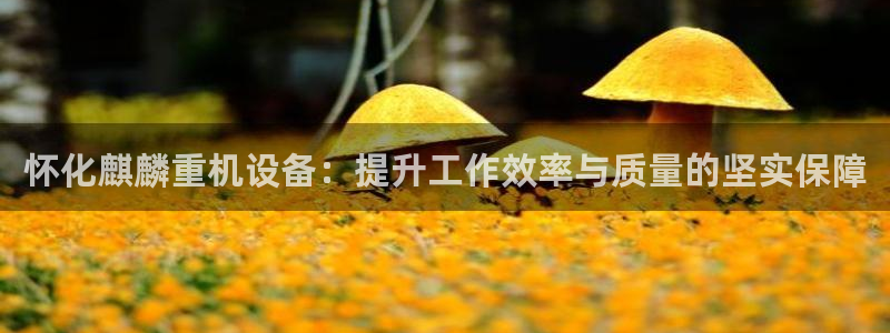 信誉辉达娱乐在线游戏：怀化麒麟重机设备：提升工作效率与质量的