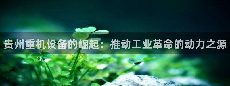 正规辉达娱乐官方网址：贵州重机设备的崛起：推动工业革命的动力