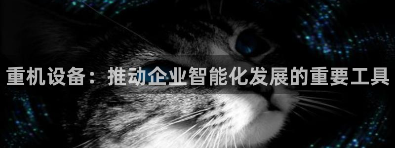 正规辉达娱乐：重机设备：推动企业智能化发展的重要工具