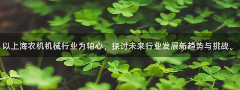 辉达娱乐最新版本更新内容