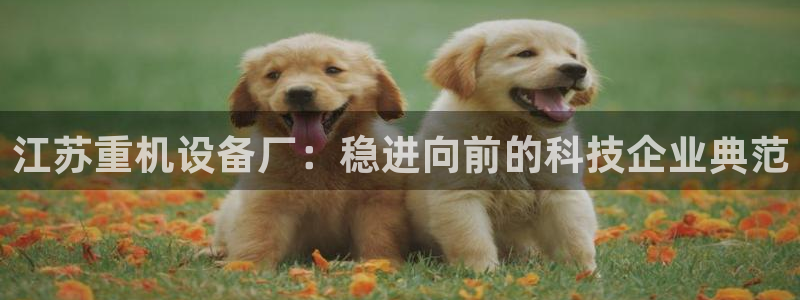 辉达娱乐最新现状