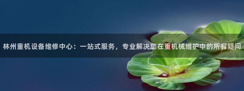 辉达集团官方网站