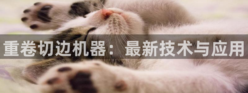 正规辉达娱乐官方网址