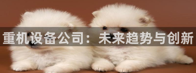 辉达平台官网网站：重机设备公司：未来趋势与创新