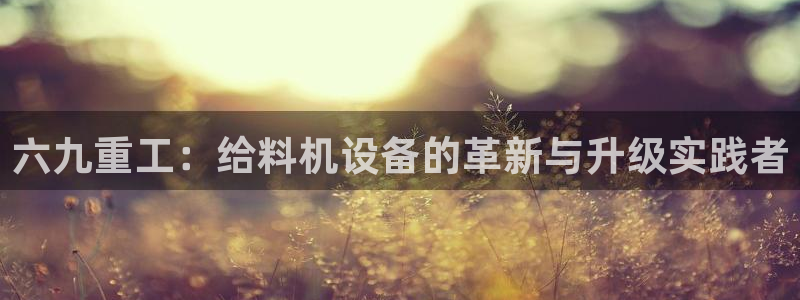 辉达娱乐待遇：六九重工：给料机设备的革新与升级实践者