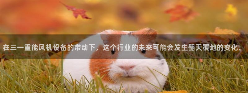 辉达娱乐最新消息新闻：在三一重能风机设备的带动下，这个行业的