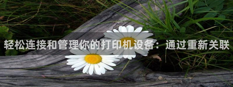 辉达娱乐丶75505：轻松连接和管理你的打印机设备：通过重新