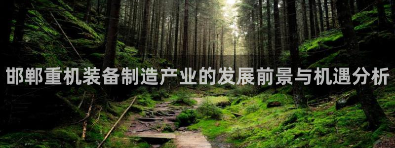 辉达娱乐彳75775：邯郸重机装备制造产业的发展前景与机遇分